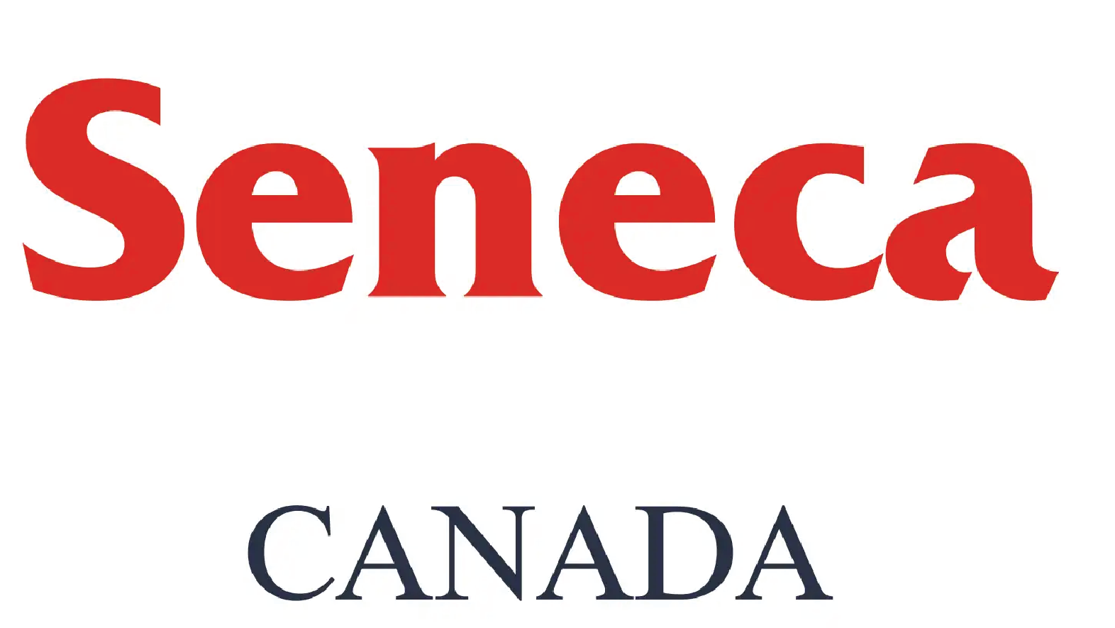 International partner logo 2